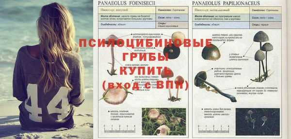 наркотики Баксан