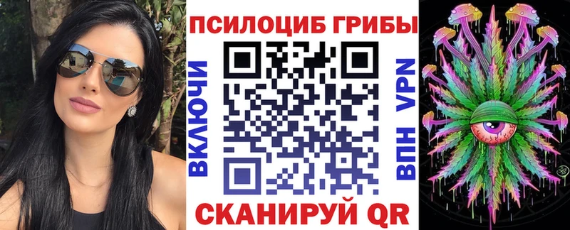 Псилоцибиновые грибы Cubensis  Подпорожье 